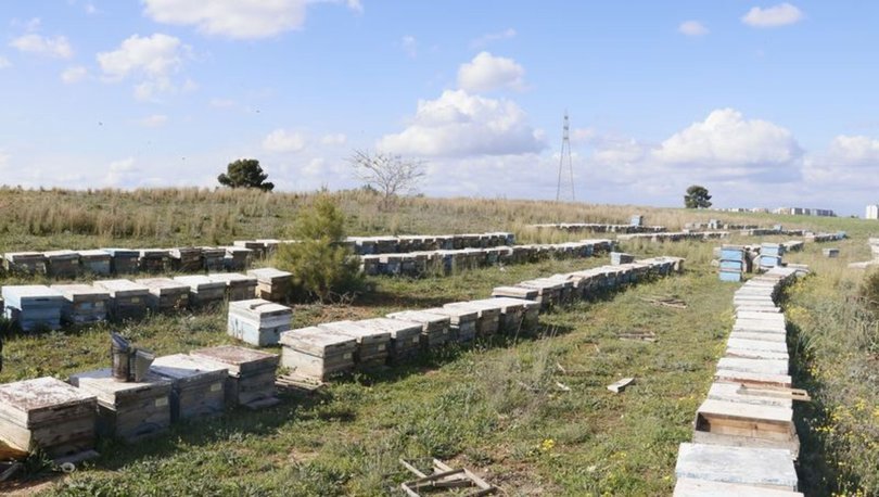 3575066_810x458