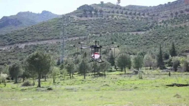 İLK YERLİ
