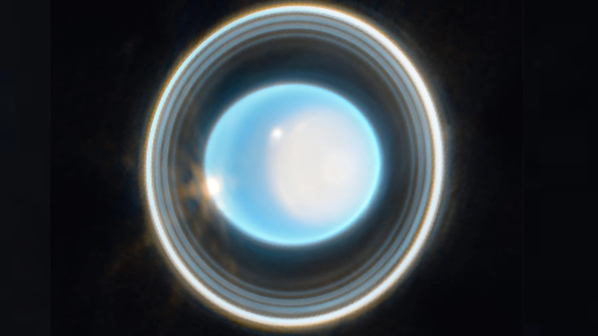 t7