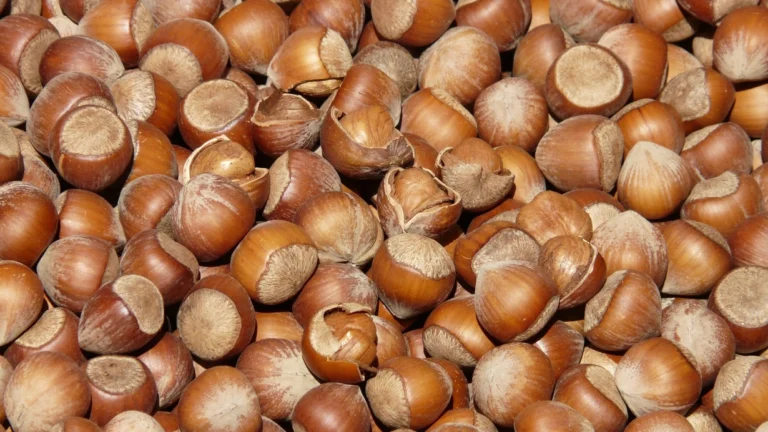 e2