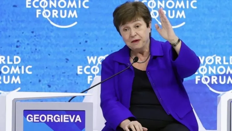IMF Başkanı: Fosil yakıtlara sağlanan sübvansiyonları iklim mücadelesi için kullanın