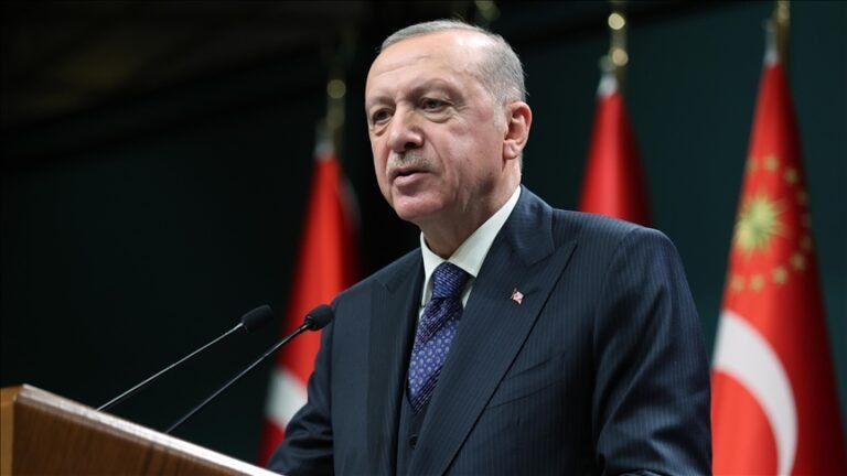Cumhurbaşkanı Erdoğan'dan Ekonomide Fiyat İstikrarı Vurgusu