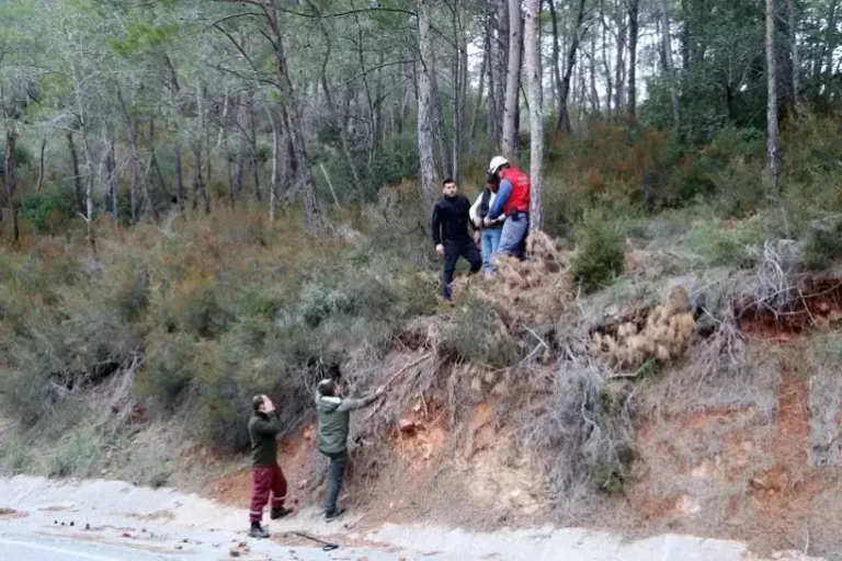 Ormandaki Yangında Yerde Yatarken Bulundu! İlk İfadesi Ortaya Çıktı Ateşi Bu Yüzden Yakmış