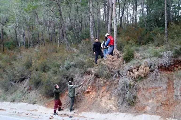 Ormandaki Yangında Yerde Yatarken Bulundu! İlk İfadesi Ortaya Çıktı Ateşi Bu Yüzden Yakmış